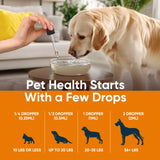 Yeast Infection Treatment for Dogs, Dog Yeast Infection Treatment Providing Itch Relief & Smelly Ears & Paw Licking, Natural Dog Ear Yeast Infection Treatment 2 Fl Oz