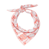 Lucy & Co. Ballet Bows Bandana - Durable Comfortable Dog Bandana - Machine Washable - Designer Puppy Accessory - Large White & Pink Bows
