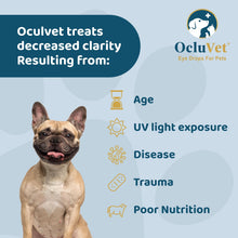 Load image into Gallery viewer, OcluVet Eye Drops for Pets | Clinically Studied Antioxidants for Pets with Cataracts | Made in The USA | Includes 2% N-Acetyl-L-Carnosine (NAC) | 16mL
