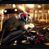 FORZENA Dog Motorcycle Helmet Cat Full Face Motorcycle Helmet Outdoor Motorcycle Bike Riding Helmet Hat for Doggie Puppy Kitten Pet Supplies Racing Car Fan Collectible Small Gift (Red)