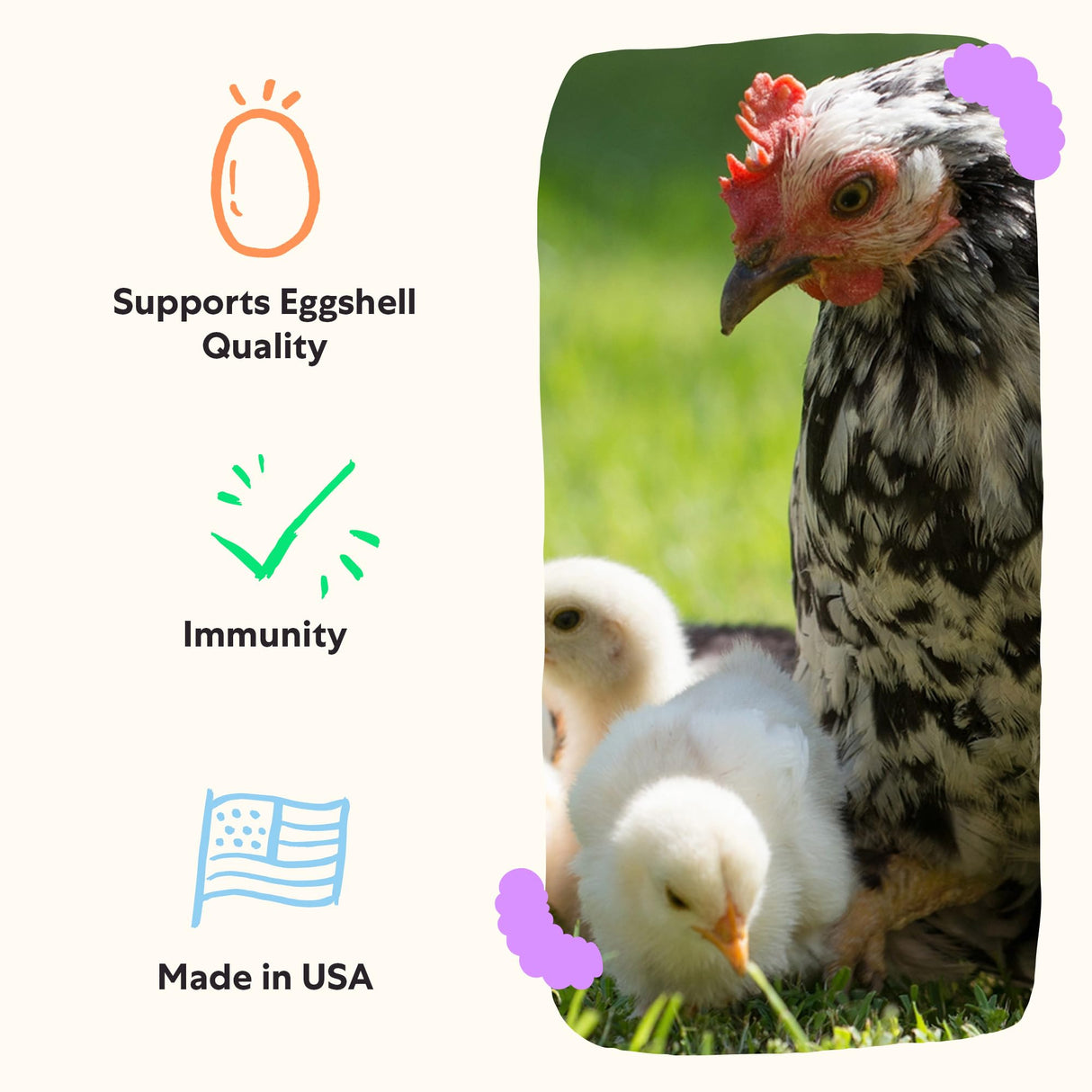 Grubbly Farms Vitamins + Electrolytes Water Supplement for Chickens (30 Day)