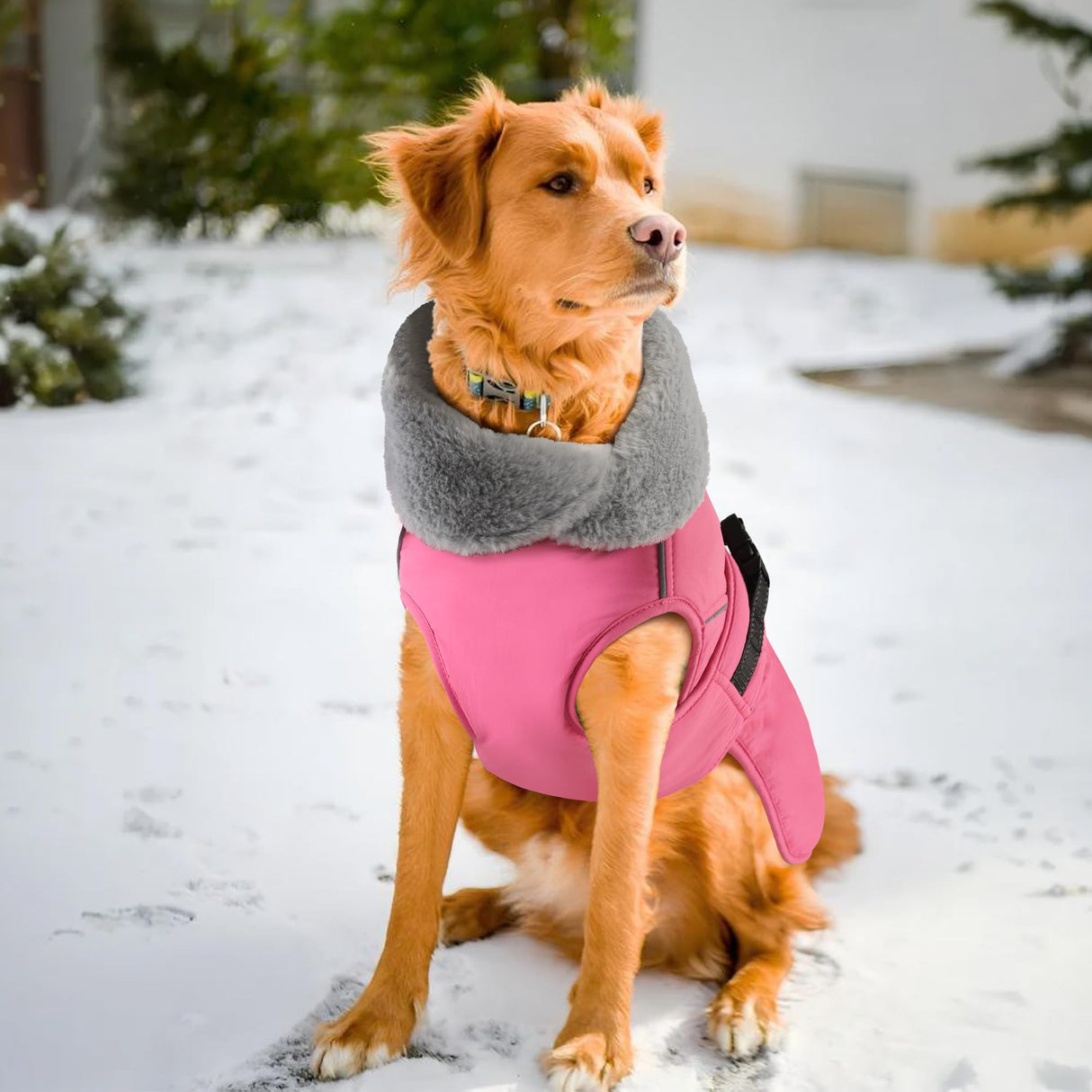 PETDSH Dog Coat Small, Windproof Dog Jacket with Warm Fleece Lining, Thickened Collar Dogs Winter Coat, Adjustable Reflective Pet Coats for Cold Weather (Pink, Small)