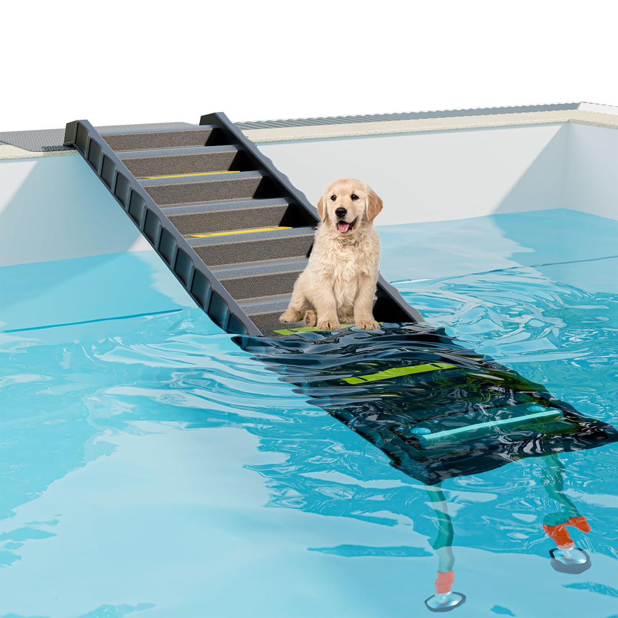Foldable Dog Pool Ramp with 33" Legs for Free Height Adjustment,Safe & Easy Access Dog Water ramp for Pool, Pool Ramp for Dogs Up to 200lbs (Black)