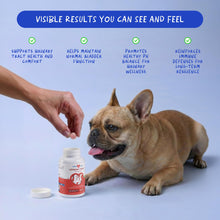 Load image into Gallery viewer, Cranberry for Dogs - Urinary Tract Support, Bladder Health, Dog UTI, Bladder Stones, Incontinence Support (Tablet)
