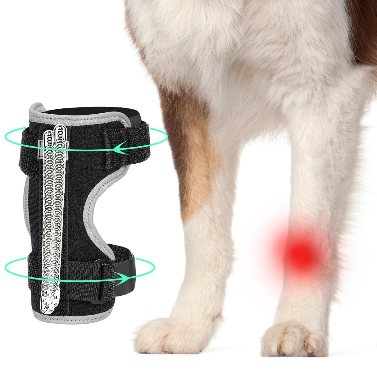 GoGoPaw Dog Front Leg Brace Adjustable, Ankle Support for Dog Wrist Brace Splint with Removable Dual Metal Springs & Reflective Edge for Arthritis, Sprains, and Injury Support (Black, M)