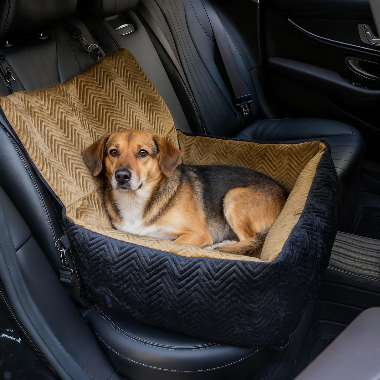 RUONARIER Dog Car Seat for Small Dogs,Medium Dog Car Bed with Detachable Washable Cover,Pet Puppy Booster Cars Seats with Safety Belt Up to 30 lbs(Black V)