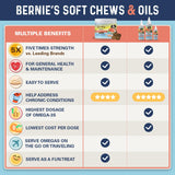Bernie's OMG! Omegas Chews for Dogs - 5X Extra Strength DHA+EPA, Fish Oil, Healthy Skin & Coat, Allergy Relief, Joint Supplement (Salmon Flavor)