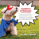 Cranberry D-Mannose Urinary Tract Support Supplement for Cats and Dogs - Cranberry Extract, D-Mannose, Vitamin C - Bladder and UTI Treatment - Made in USA - 120 Soft Chews