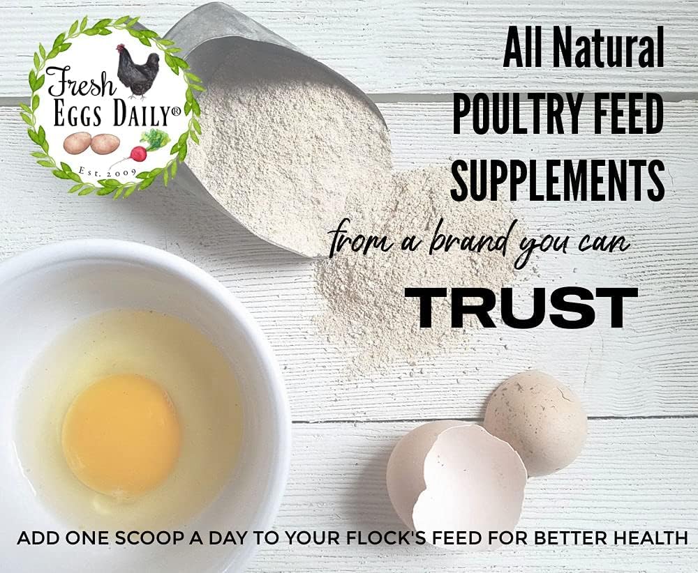 Fresh Eggs Daily Brewers Yeast Powder with Garlic & Niacin for Chicken & Duck Backyard Flocks - Suitable for Young Chicks & Ducklings - Supports Healthy Bone Development, Digestion & Immunity - 1lb
