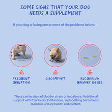 Load image into Gallery viewer, Cranberry for Dogs - 90 Soft Chews - Urinary Tract Support, Bladder Health, Dog UTI, Bladder Stones, Incontinence Support (Soft Chews)
