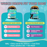 Woyamay Flea + Coat Glow Soft Chews, Natural Flea and Tick Prevention for Dogs, Dog Flea and Tick Treatment Chewable, Reduces Itch & Shedding with Fish Oil & Neem, Chicken Flavor