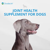 PRN Pharmacal Duralactin Canine Soft Chews - Joint Health Supplement for Dogs & Puppies to Help Reduce Chronic Soreness - Canine Chews Containing Dried Milk Protein - Chicken-Liver Flavor - 90 Chews