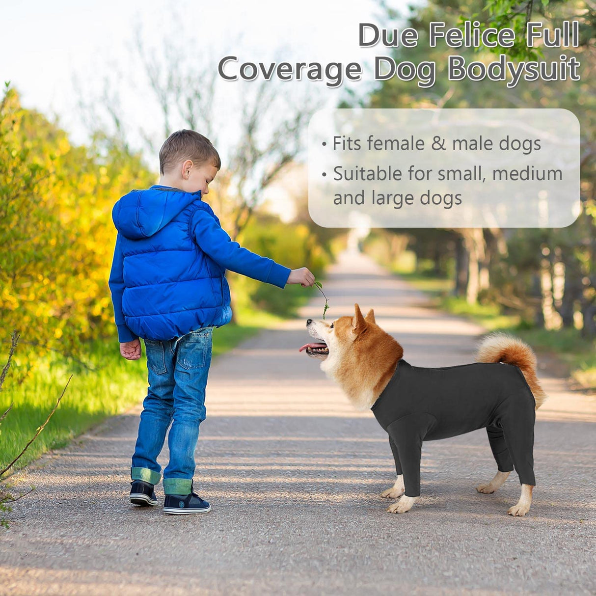 Due Felice Dog Onesie for Surgery Dog Recovery Suit for Female Male Dog Shedding Suit Full Coverage Pet Surgical Recovery Bodysuit After Surgery Wear Anxiety Calming Shirt Gray/3XL