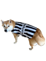 ComfyCamper Black and White Sports Referee Dog Cape Costume - XXL Cosplay Rufferee Halloween Costumes Christmas, XL