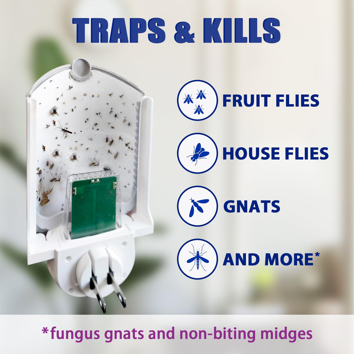 Flying Insect Trap for Indoor Use (2 Staters & 6 Refill Cartridges), UV Light Bug Catcher for Fruit Flies, Gnats & Small Flying Pests, Silent, No-Zap, Mess-Free