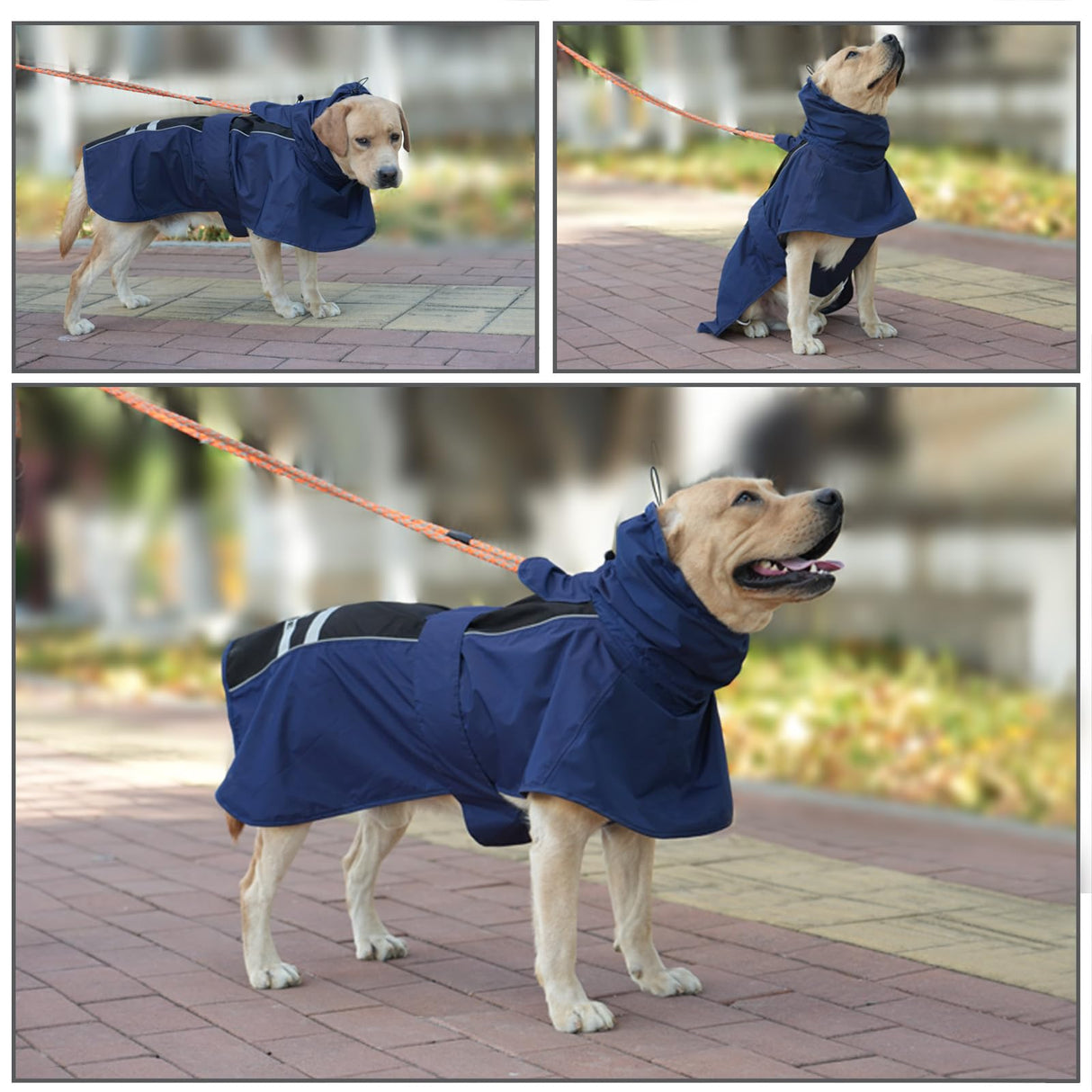 Adjustable Dog Raincoat, Waterproof Dog Rain Jacket for Small Medium Large Dogs,Reflective Lightweight Pet Rain Coat with Leash Hole (Navy&Black, Medium)