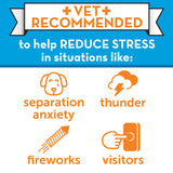 ThunderEase Dog Calming Pheromone Diffuser Kit | Powered by ADAPTIL | Vet Recommended to Relieve Separation Anxiety, Stress Barking and Chewing, and the Fear of Fireworks and Thunderstorms (60 Day Sup