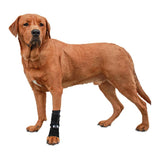 Walkin' Pets Front No-Knuckling Training Socks for Dogs - 3+ Inches, 100+ lbs