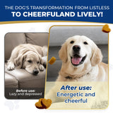 Nicotinamide Adenine Dinucleotide Precursor & Senior Dog Supplement,Dog Cognitive & Calming Chews,Dogs Vitamin Supplement,Supports Dogs Anti-Aging,Cognitive Health & Anxiety Relief,Promotes Relaxation