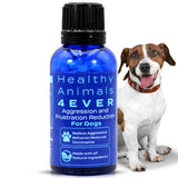 HA4E - Calming Tablets for Stressed and Aggressive Dogs - Reduce Dog Aggression & Promote Relaxation - All-Natural, Homeopathic Remedy - 300 Tablets