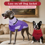 DENTRUN Dog Coat with Collar Built in - Fleece-Lined Windproof Dog Jacket, Adjustable Belly Straps & Reflective Strips, No-Sleeve Design for Beagle, Dachshund, Daily Walks, Red, M