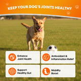 Whiskopia Hip and Joint Supplement for Dogs, Joint Pain Relief Supplement with MSM, Glucosamine, Chondroitin, Support Mobility, Health Chews for Dog, 120 Chews