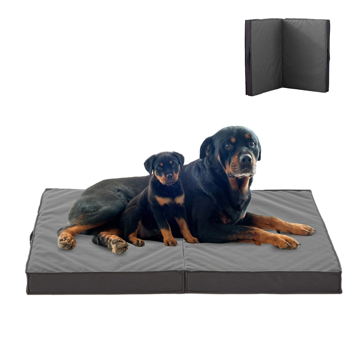 PETABBY Outdoor Dog Bed for Large Dogs, Waterproof & Washable, Foldable & Orthopedic, 41" All Weather