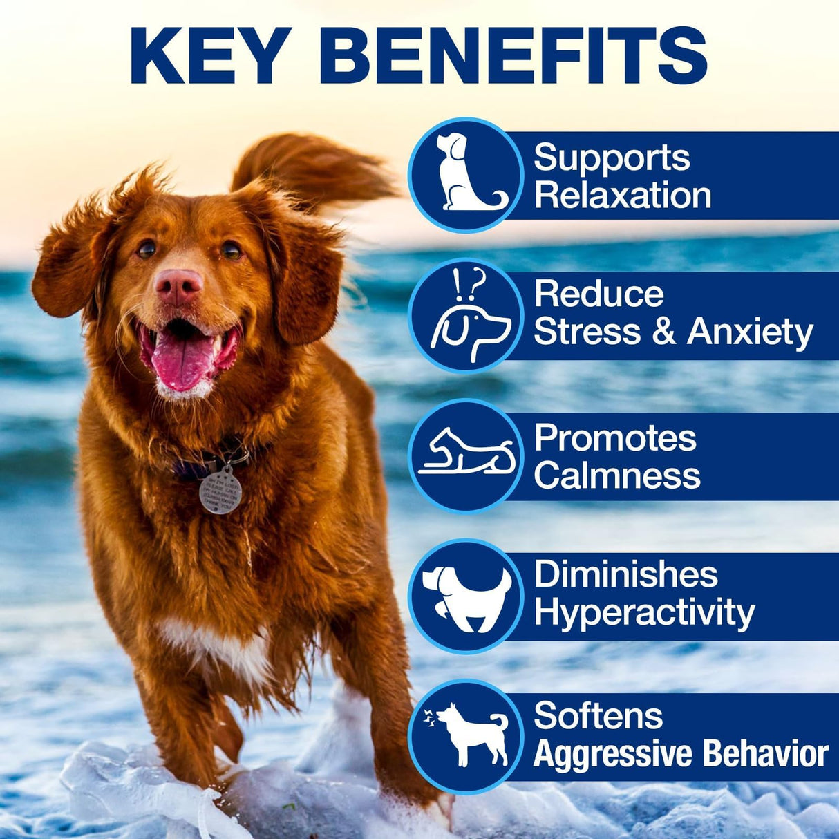 Hemp Calming Chews for Dogs - Advanced Dog Calming Chews - Anxiety Relief Treats for Dogs - Dog Supplements for Storms, Fireworks, Thunder, Barking - Hip and Joint Supplement Support 180 Treats