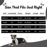 Tooth & Honey Dog Shirt for Medium Dogs – Breathable Cotton & Spandex Pullover with Full Underbelly Coverage – Grey Allergy & Summer Protection (Medium)