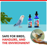 Morning Bird Milk Thistle & Dandelion Extract 1 fl oz - Organic Bird Supplement for Optimal Health – Support Liver Heath & Promotes Detox - Suitable for All Birds Species