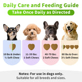 POPPAW Dog Liver Support Chews - with Milk Thistle (Silybum), Same & NAC - Liver Supplement for Metabolic - Detox - Gut & Immune Health - Beef Flavor, 90 Soft Chews