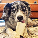 Redbarn Pet Products Small Filled Dog Bones, Peanut Butter Flavor - Long Lasting Stuffed Femur Chew Treat Made in USA - 4 Count - Packaging May Vary