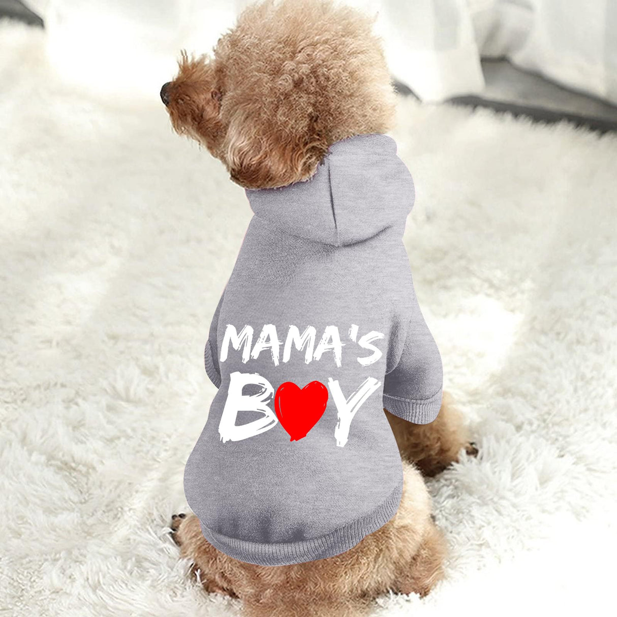 Cayxatiu Cat Hoodies for Cats Pet Puppy Clothes Dog Hoodie Mama'Boy Printed Hooded Sweatshirt for Small Medium Size Dogs(Gray,L)