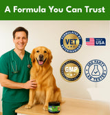 Pupzle Dog Teeth Cleaning Powder for Fresh Breath, Dog Dental Powder, Tartar & Plaque Focused, Natural Breath Freshener, Pet Dental Supplement with Probiotics for Gut Health, Mint, 60 Days Supply