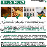 Large Rat Traps, Excellent Traps for Gophers, Mouse Traps Indoor Outdoor, Snap Traps That Work, Quick Effective Sanitary Safe, Snap Trap for Trapping Against Mouse, Chipmunk