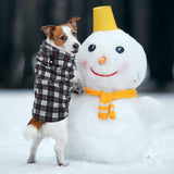 Pedgot 6 Pieces Warm Fleece Vest With Leash Ring - Dog Sweatshirt Winter Pet Clothes Plaid Pullover for Puppy Small Dogs Cat, Large