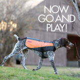 EzyDog Element Jacket - Simple to FIT Water & Wind Proof Dog Jacket (X-Large, Scarlet)