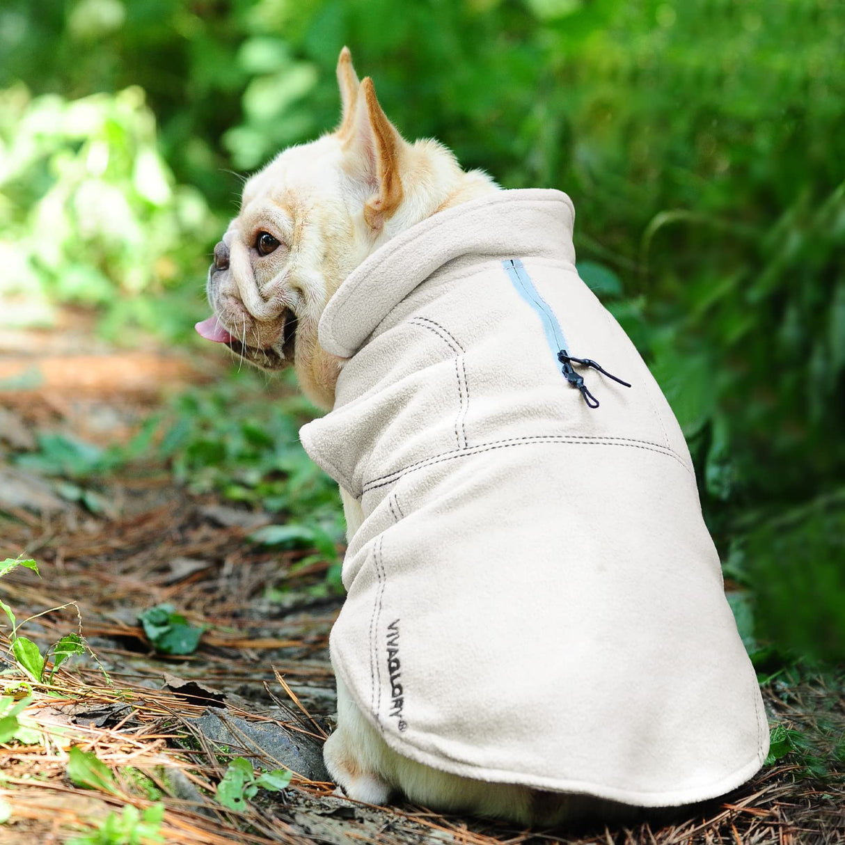 VIVAGLORY Softpad Dog Fleece Vest, Dog Fleece Jacket for Fall & Spring, Coat with Harness Hole, Reflective Light Weight Soft Easy On Adjustable, XS, Beige
