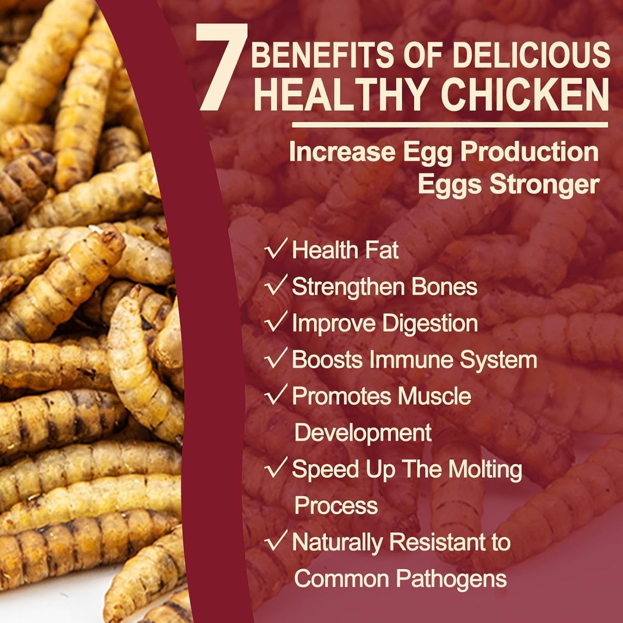 5LB Dried Black Soldier Fly Larvae for Chickens Bulk, Non GMO 86X High Calcium Grubs Than Meal Worms for Laying Hens,100% Natural BSF Larvae for Chicken Worms Wild Bird Treats, Protein Chickens Feed