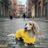 Hudson Hound, Dachshund Raincoat, Sausage Dog Rain Jacket, Long Dog Coat, Weiner Dog Raincoat, Doxie Rain Jacket (Medium)