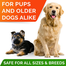 Load image into Gallery viewer, StrellaLab Omega 3 for Dogs - (180Ct) Fish Oil Treats - Allergy &amp; Itch Relief Skin &amp; Coat Supplement - Dry Itchy Skin, Anti Shedding &amp; Hot Spots Treatment - Pet Salmon Oil Chews - Chicken Flavor
