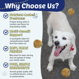 ZEBORA Salmon Oil for Dogs, Omega 3 Fish Oil for Dogs Skin and Coat with EPA & DHA, Zinc, Biotin, Quercetin, Vitamin C & E for Dog Allergy Relief, Hot Spot Treatment, Control Dog Shedding, 180 Chews