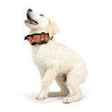 Huxley & Kent Ruff Pet Scrunchy | Shiny Christmas Plaid (Extra-Large) | Festive Christmas/Holiday Neckwear for Dogs/Cats | Fun Stretchable Costume Accessory | Soft Collar with Bells