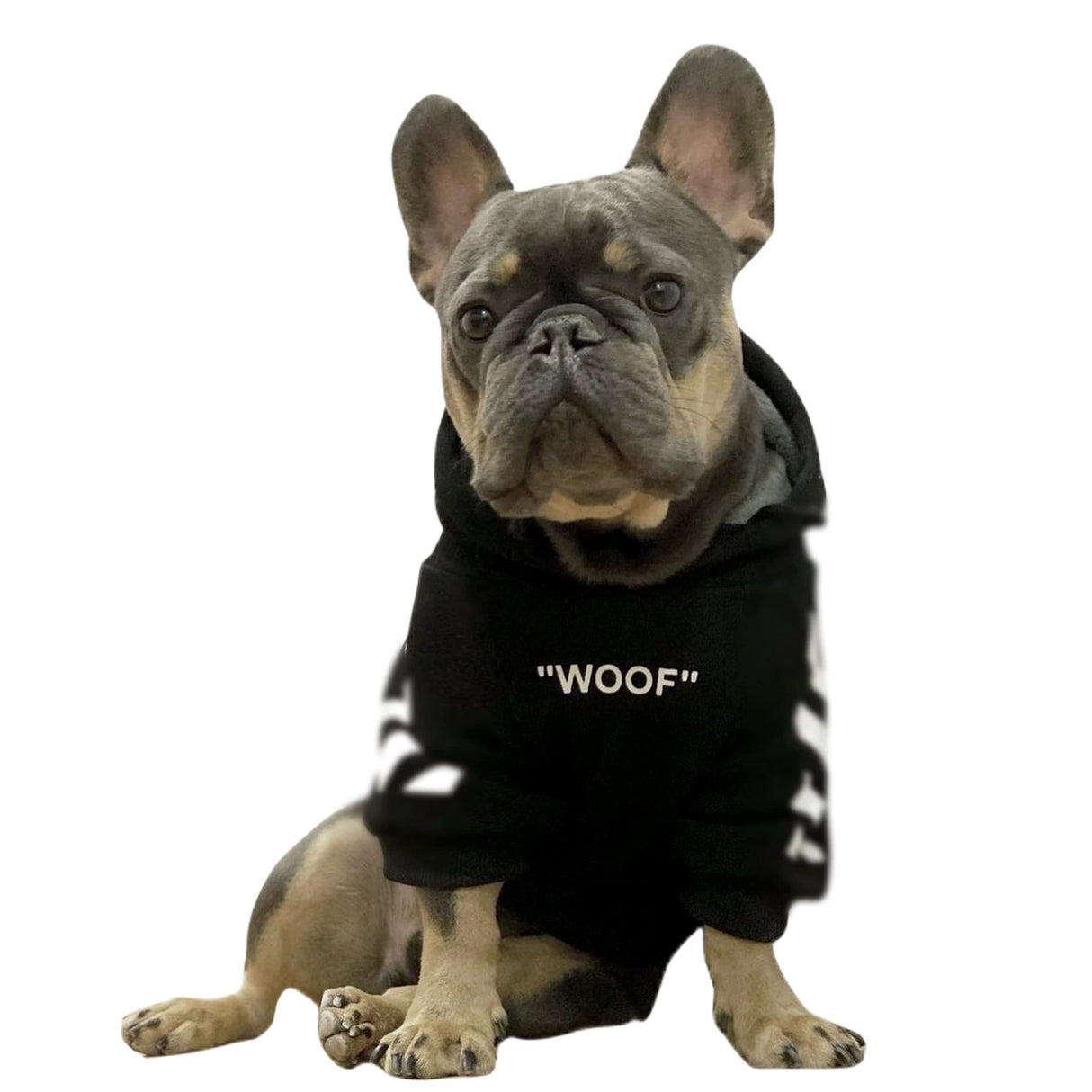 ChoChoCho Stylish Dog Hoodie Dog Clothes Streetwear Cotton Sweatshirt Fashion Outfit for Dogs Cats Puppy Small Medium Large (5XL, Black)