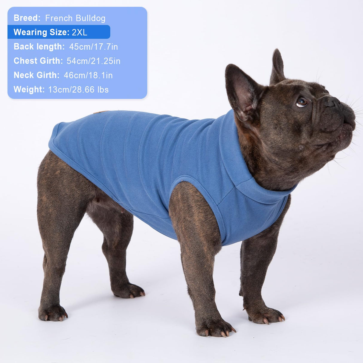 BAOBICUTE 2 Pack Dog Sweater Clothes Soft Velvet Fabric Coat Dog Sweatshirt Sweaters for Small Medium Large Dogs Pullover Turtleneck Pet Puppy Clothes Cold Weather Warm Puppy Sweater