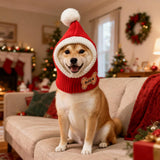 DYOART Custom Dog Beanie with Leather Patch Name, Personalized Santa Hat for Dog, 2025 Christmas Hats for Dog & Cat, Pom Pom Winter Hat for Small Medium Large Dogs Cats