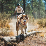 Ruffwear, Swamp Cooler Zip Dog Vest, Evaporative Cooling for Hot Weather, Graphite Gray, XX-Small