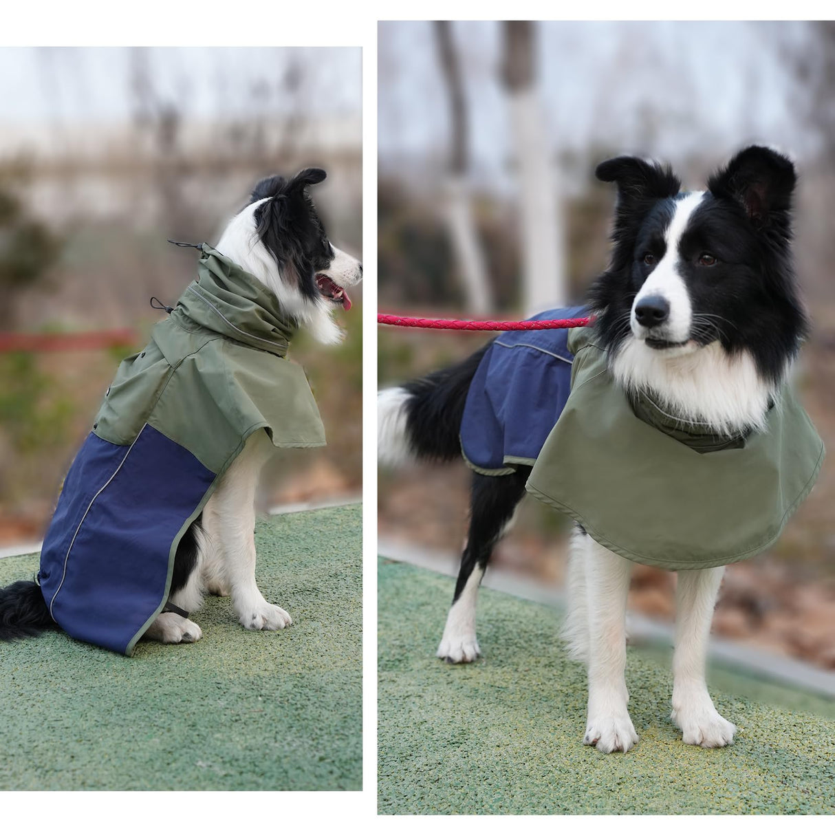 MAMORE Waterproof Dog Raincoat, Portable Adjustable Dog Rain Jacket, Reflective Lightweight Pet Rain Coat for Small Medium Large Dogs for Outdoor Walking Hiking (Green&Navy, Medium)