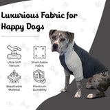 Tooth & Honey Dog Shirt for Medium Dogs – Breathable Cotton & Spandex Pullover with Full Underbelly Coverage – Grey Allergy & Summer Protection (Medium)