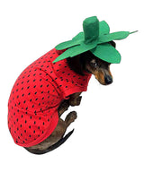 Pet Halloween Costume Dog Strawberry Costume Role Play Clothes for Thanksgiving Christmas (Red, S)